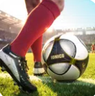足球超级英雄(Soccer Hero)