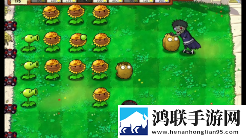 植物大战僵尸火影版