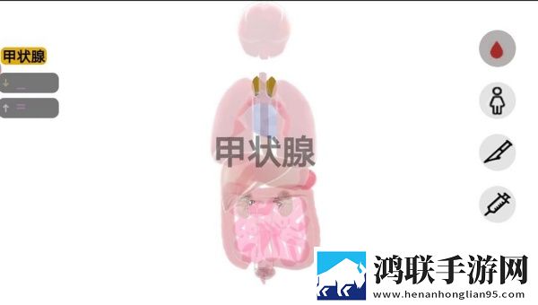 人体细胞模拟器