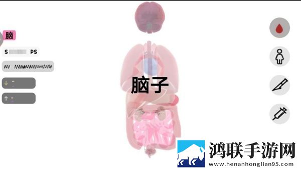 人体细胞模拟器