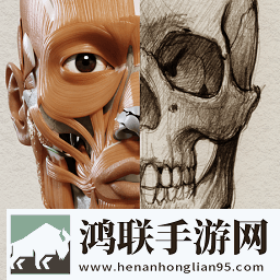 艺术家之3d解剖图最新版
