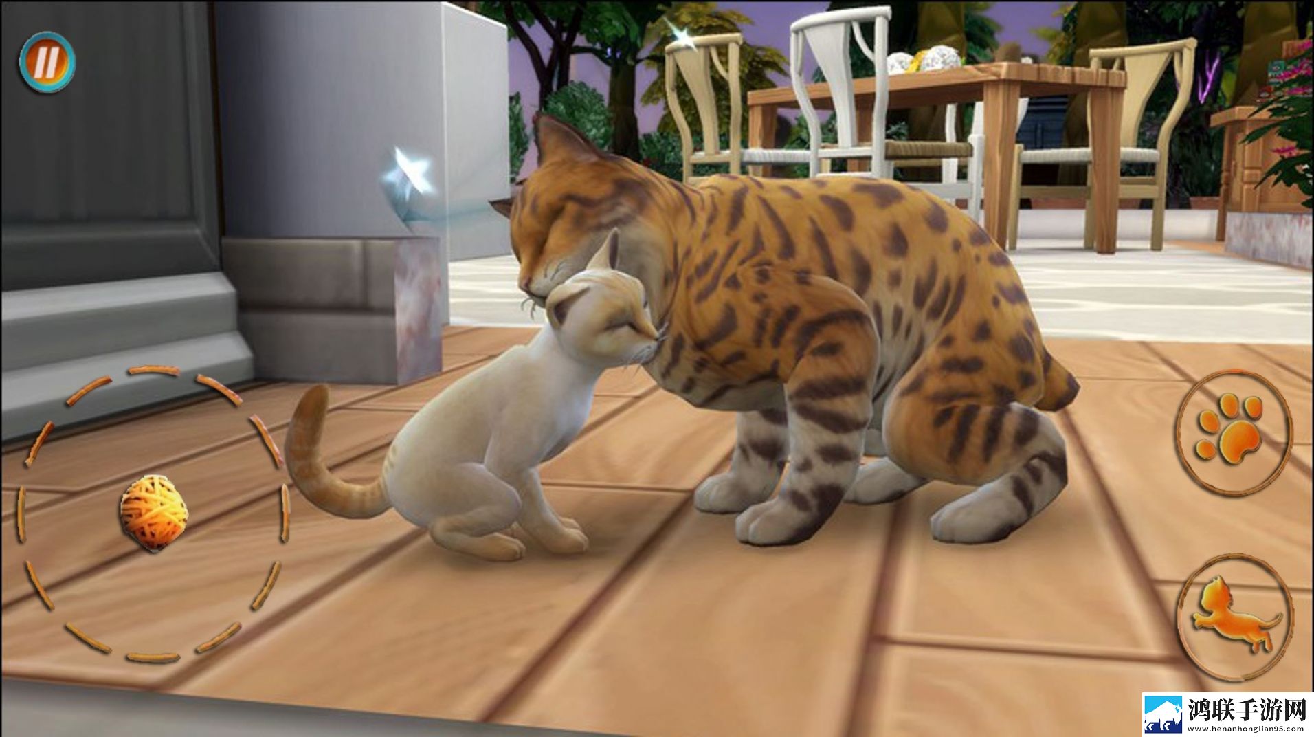 猫咪想恋爱
