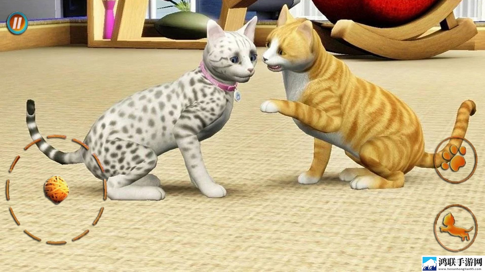猫咪想恋爱