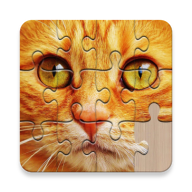 无限拼图(Unlimited puzzles)
